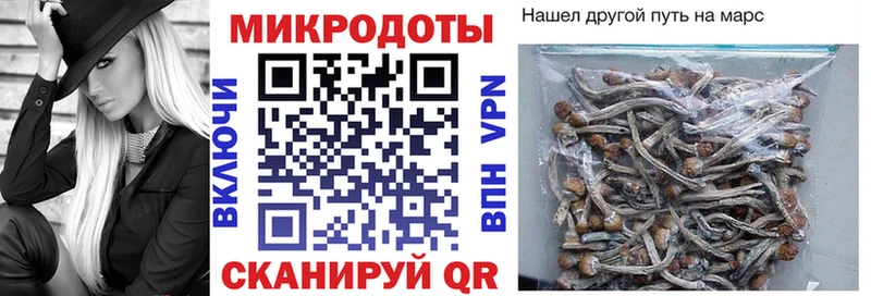 Галлюциногенные грибы мицелий Норильск