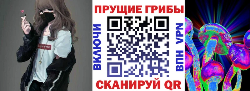 продажа наркотиков  Норильск  Галлюциногенные грибы Psilocybine cubensis 